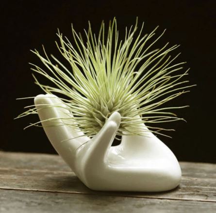 Porcelain Hand Ceramic Base - ShopGreenToday