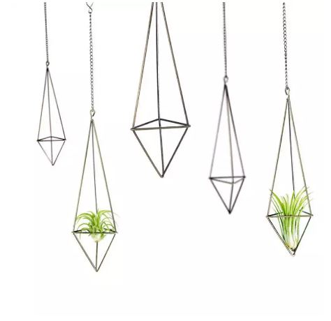 Geometric Bronzed Iron Air Plant Holder - ShopGreenToday