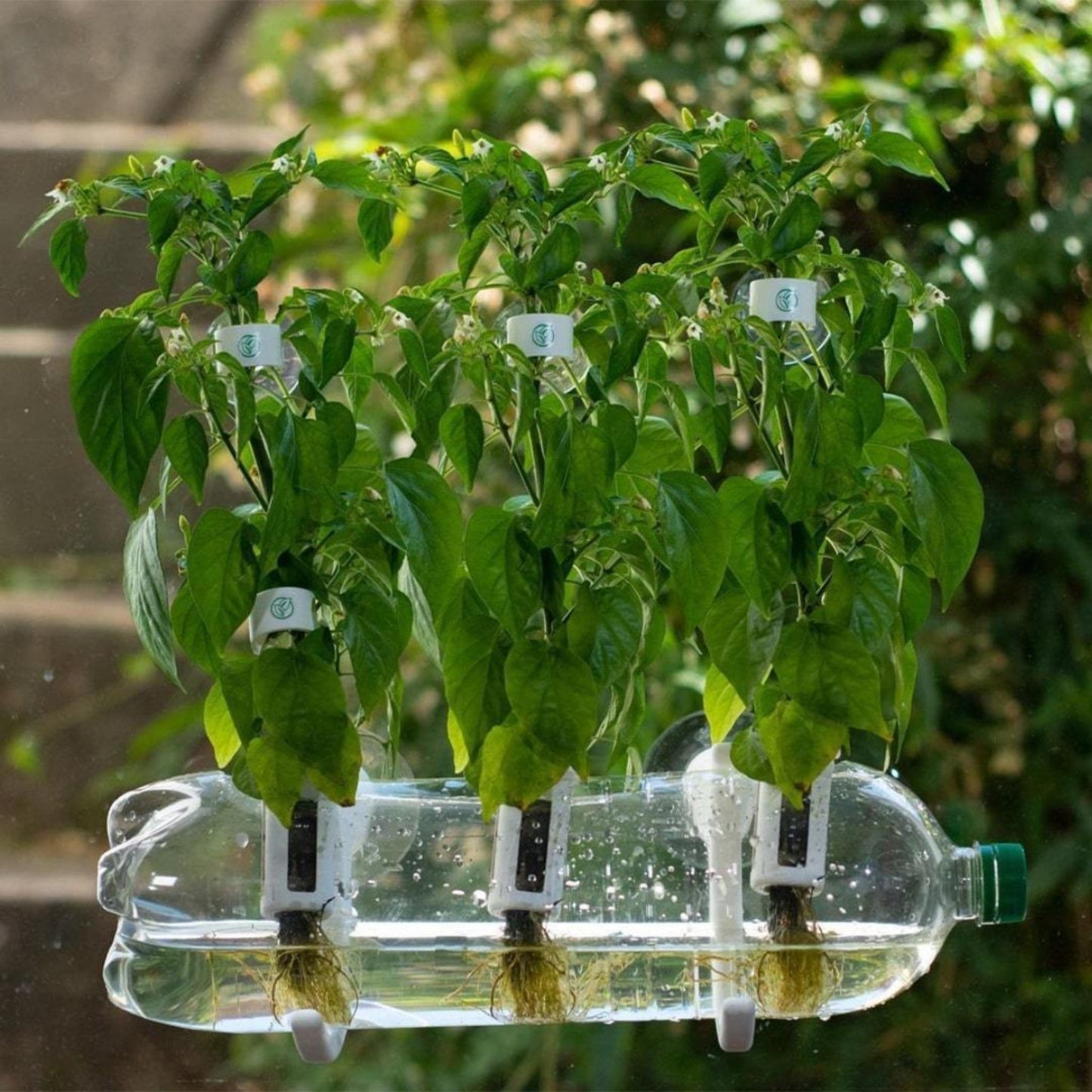 Bottle Farm Indoor Herb Garden