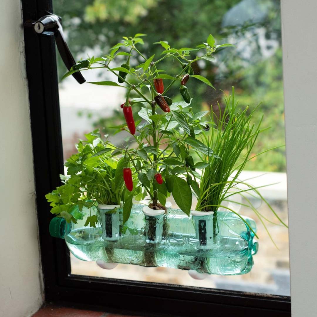 Bottle Farm Indoor Herb Garden