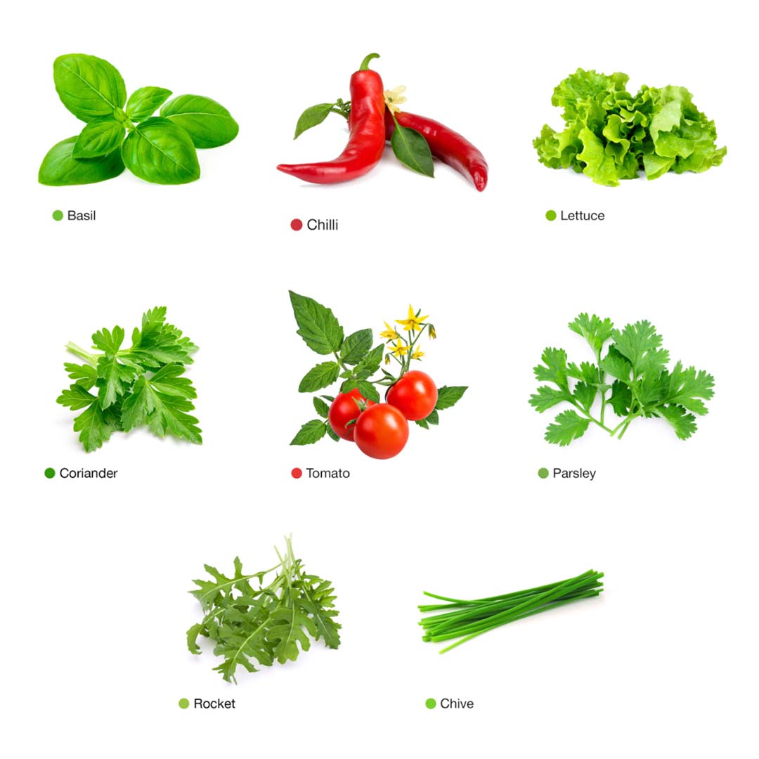 Bottle Farm Indoor Herb Garden