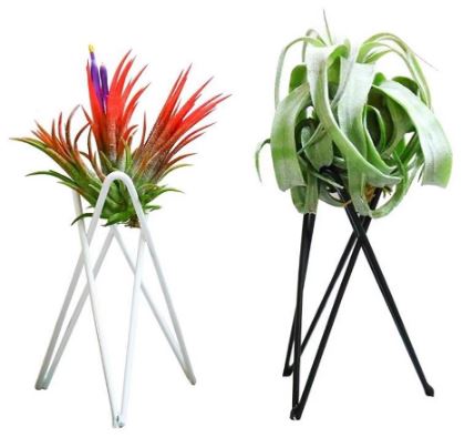 Small Nordic Style Geometric Air Plant Holder - ShopGreenToday