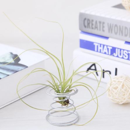 Air Plant Vase - Silver - ShopGreenToday