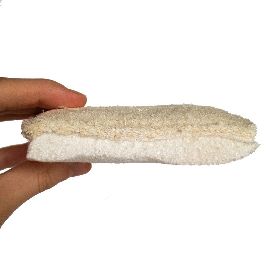 Compostable Sponge & Scourer Duo Pack