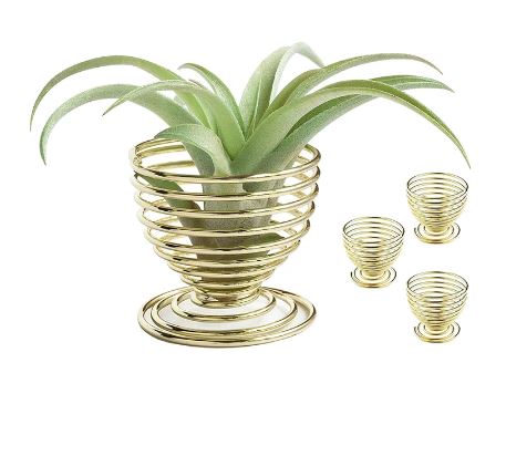 Golden Tabletop Air Plant Holder - ShopGreenToday