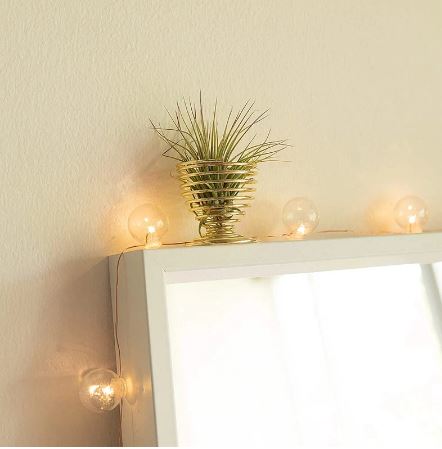 Golden Tabletop Air Plant Holder - ShopGreenToday