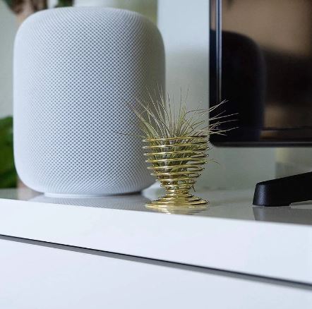 Golden Tabletop Air Plant Holder - ShopGreenToday