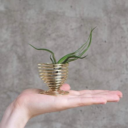 Golden Tabletop Air Plant Holder - ShopGreenToday