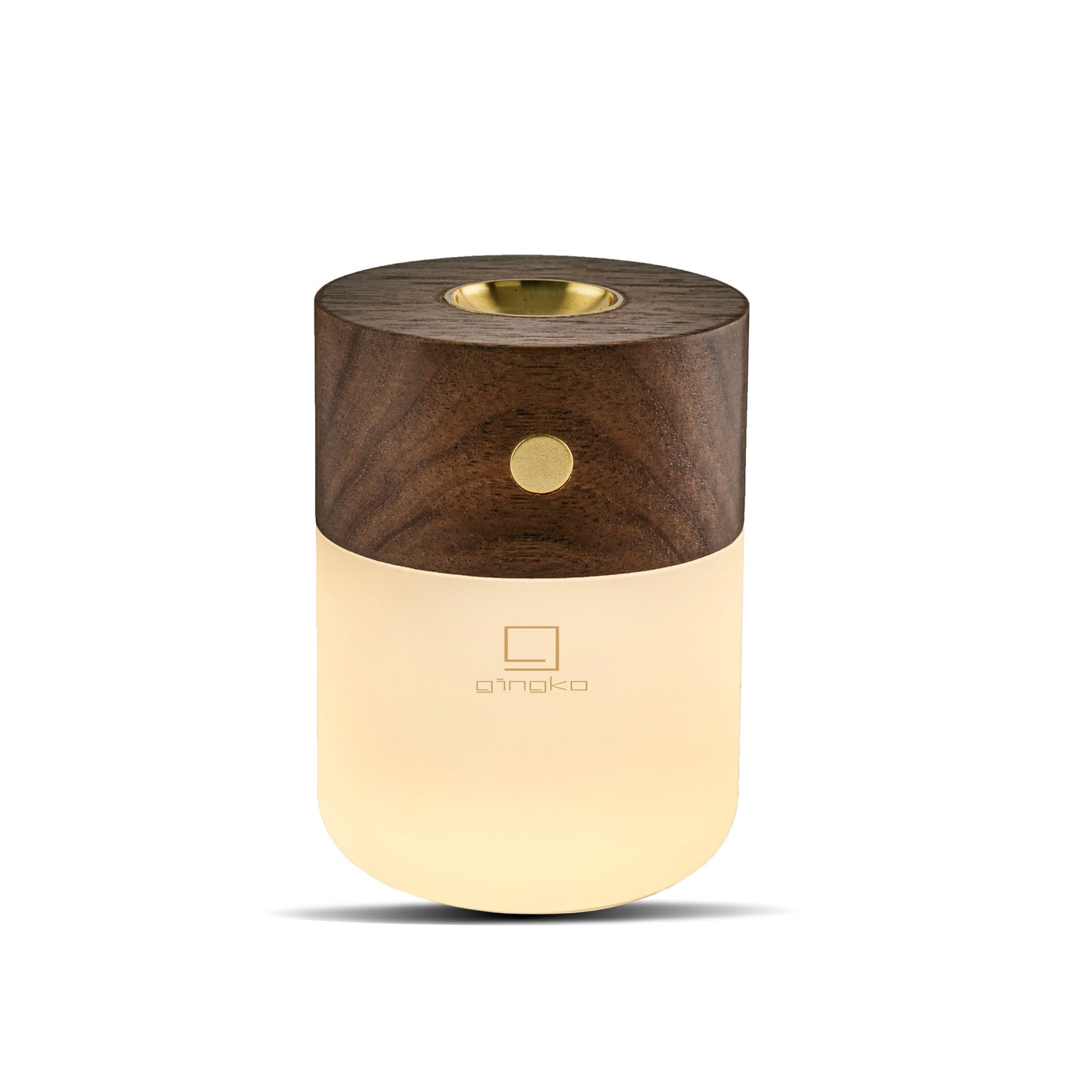 The Gingko Smart Diffuser Lamp - NEW 2021 - ShopGreenToday