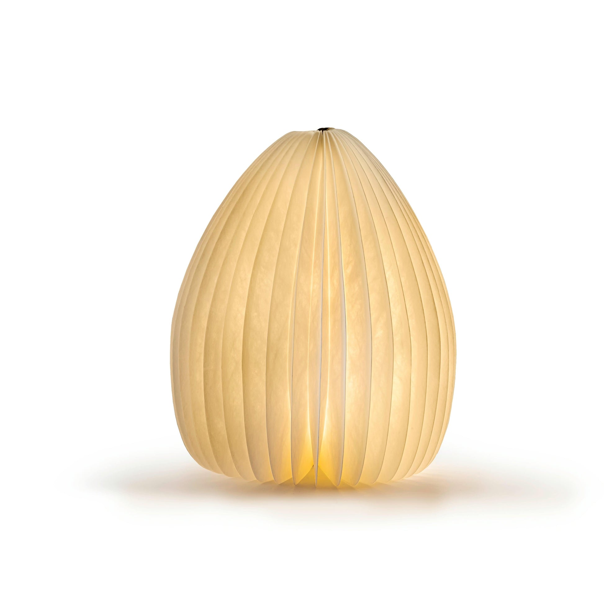 Gingko Smart Vase Light - NEW 2021 - ShopGreenToday