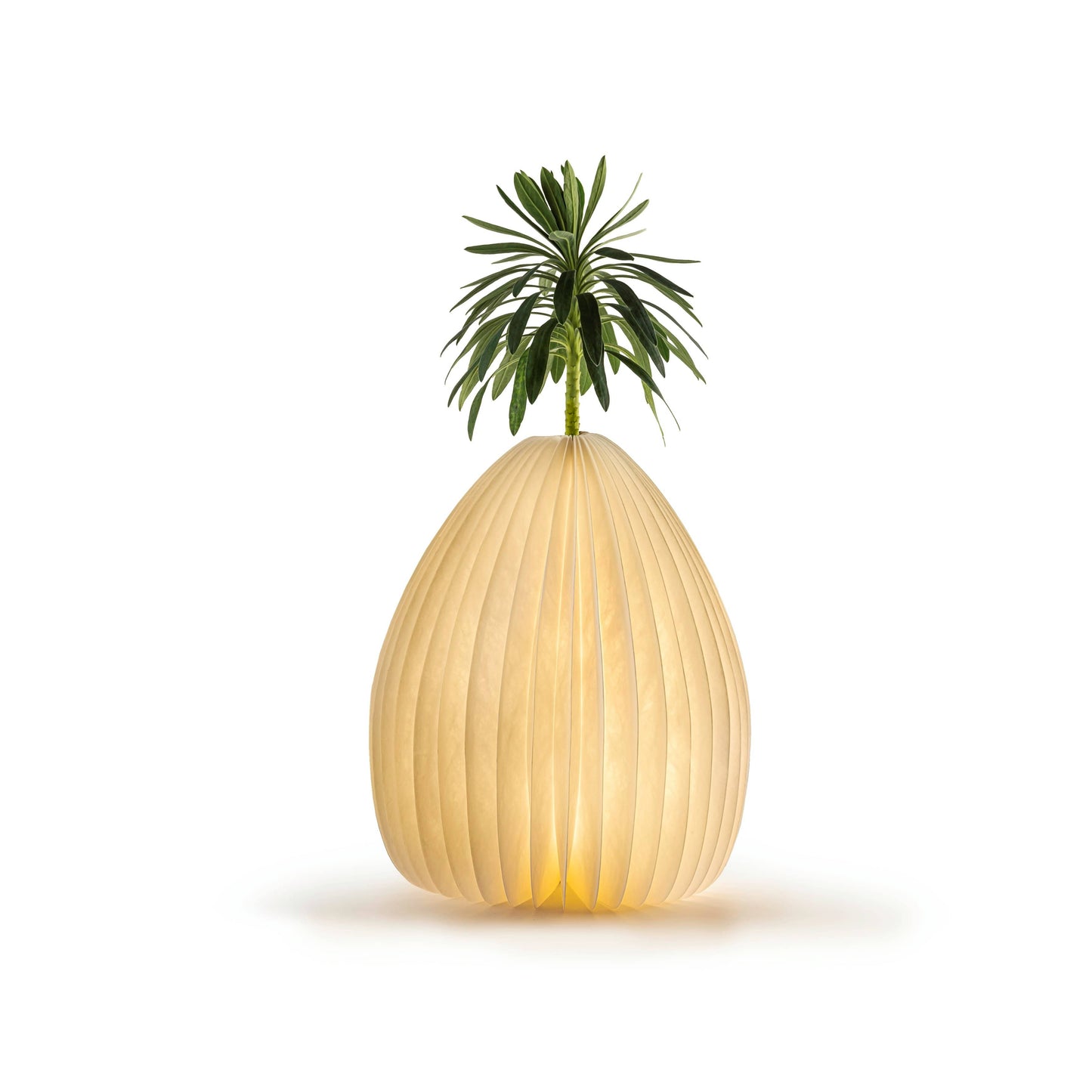 Gingko Smart Vase Light - NEW 2021 - ShopGreenToday