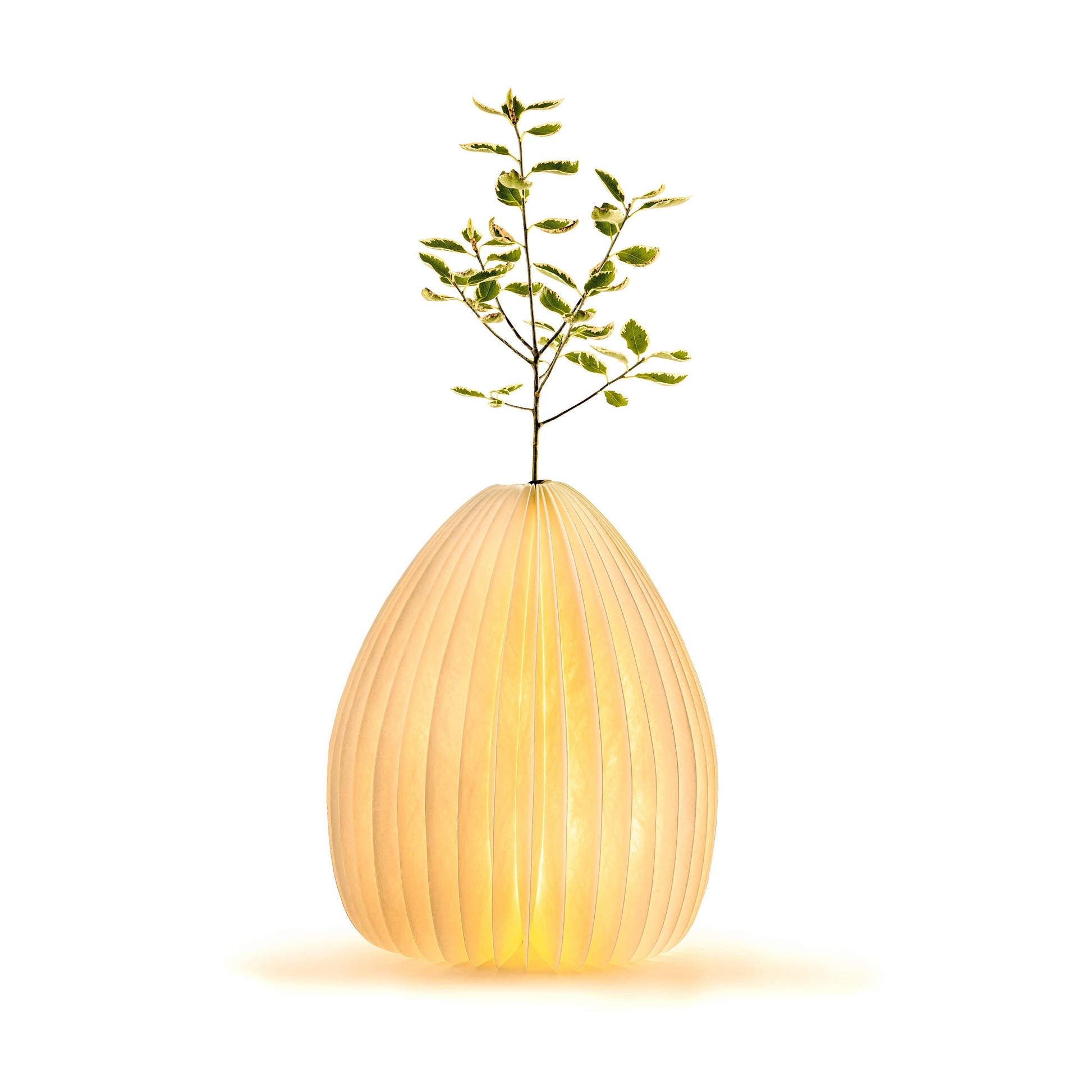 Gingko Smart Vase Light - NEW 2021 - ShopGreenToday