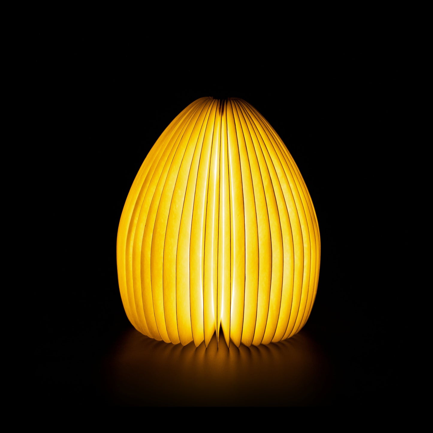 Gingko Smart Vase Light - NEW 2021 - ShopGreenToday