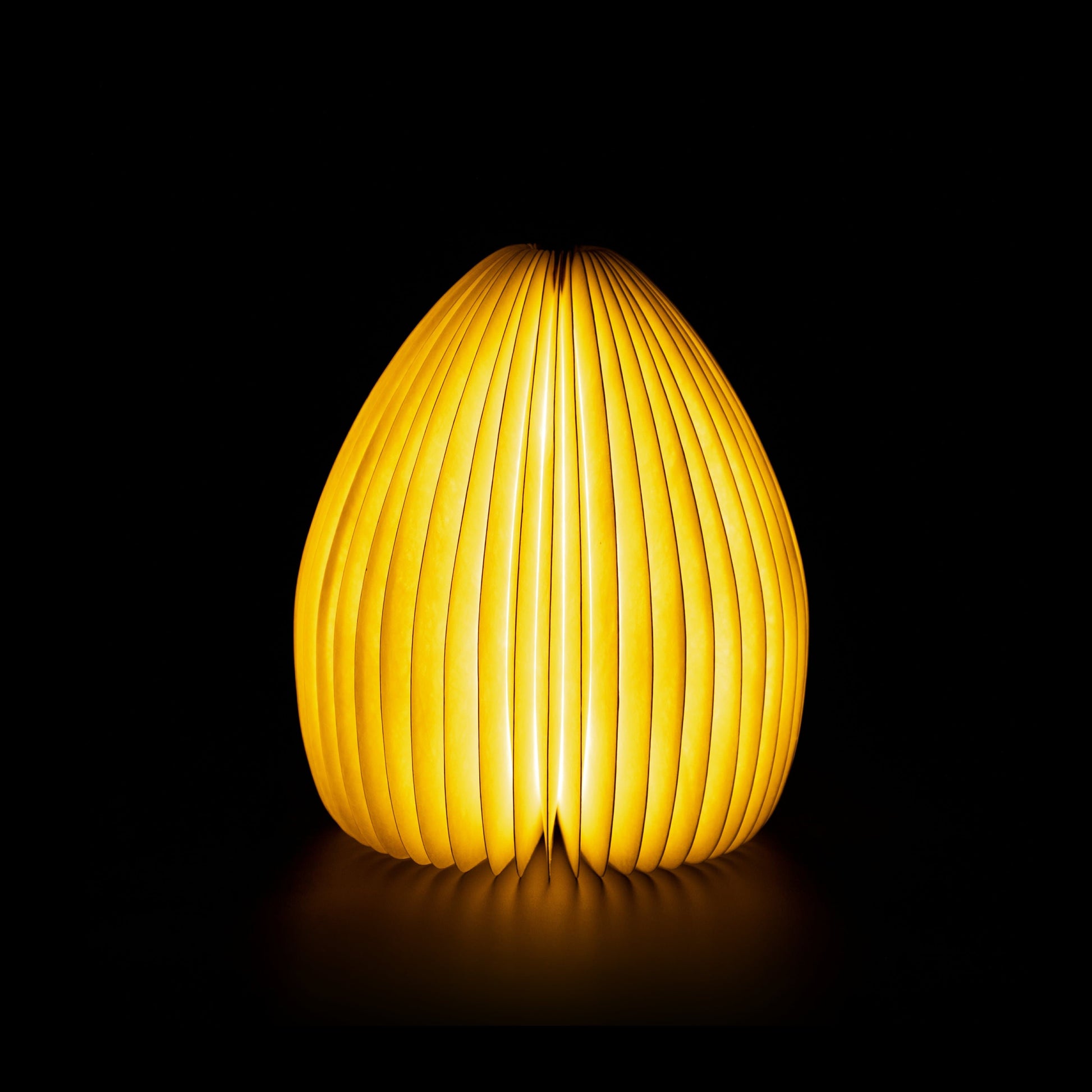 Gingko Smart Vase Light - NEW 2021 - ShopGreenToday