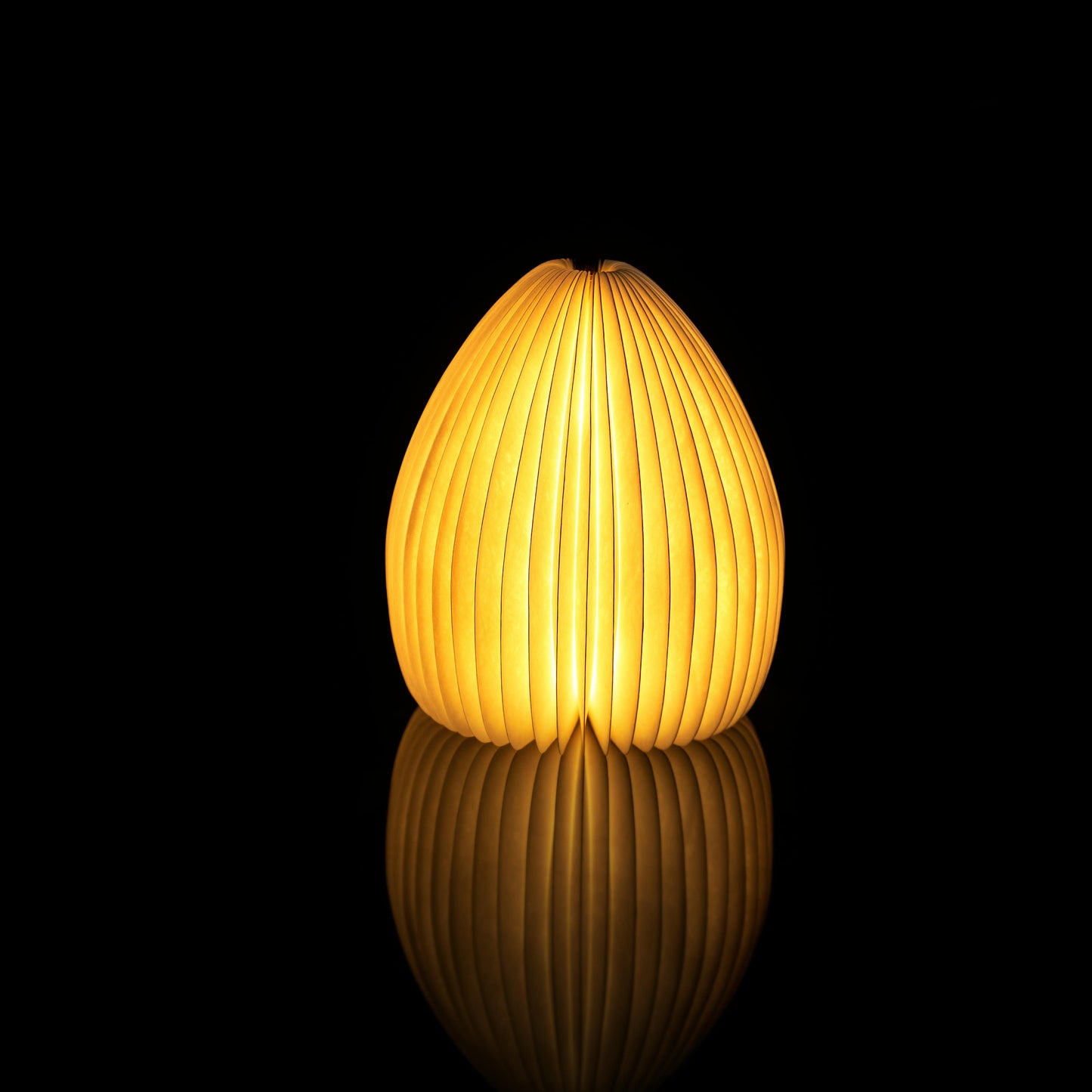 Gingko Smart Vase Light - NEW 2021 - ShopGreenToday