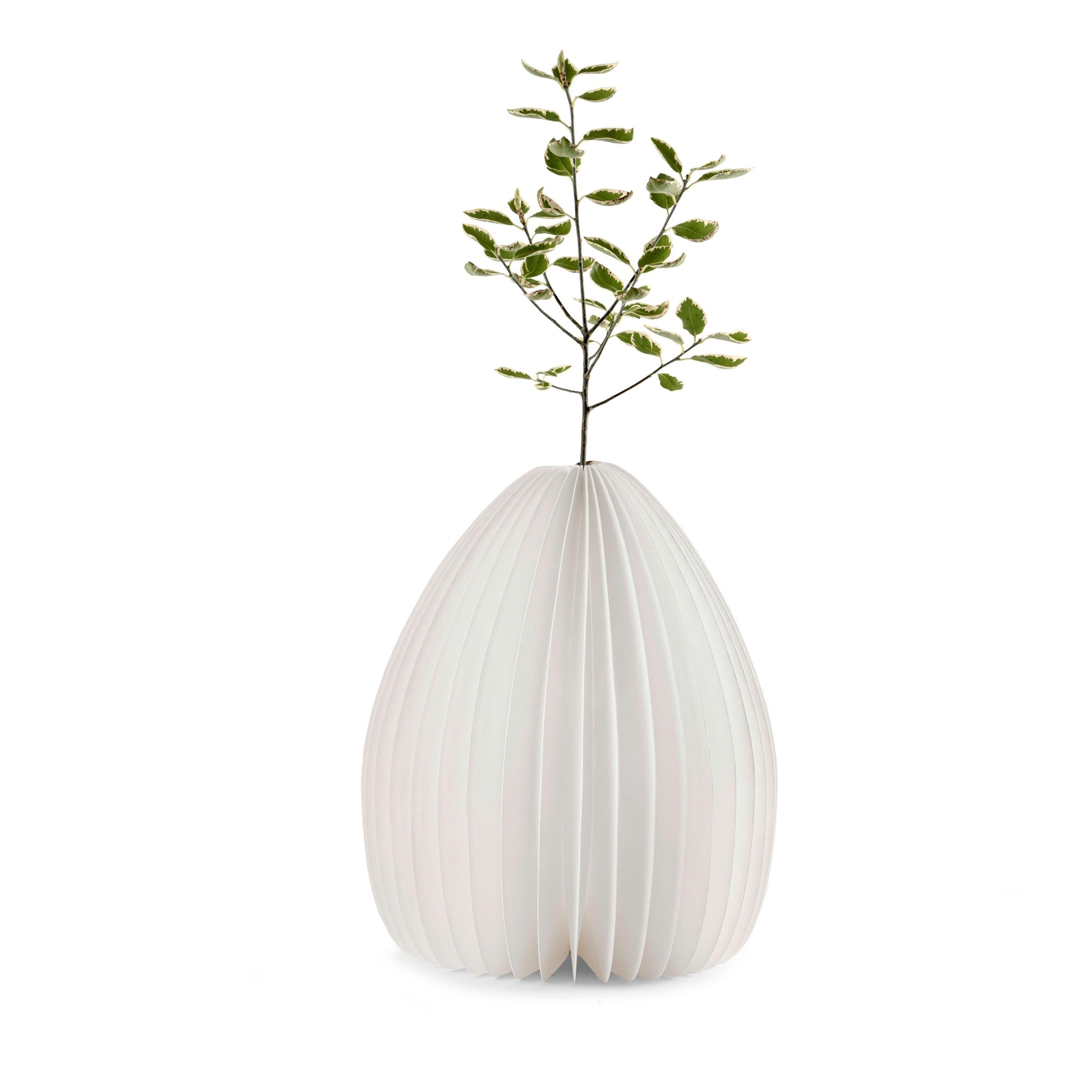 Gingko Smart Vase Light - NEW 2021 - ShopGreenToday