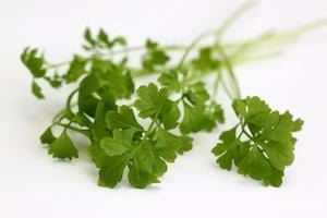 Salad Mix Seedball Tin - ShopGreenToday