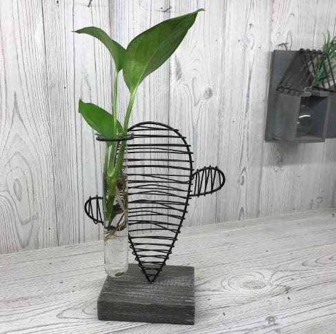 Hydroponic Home Décor - Cactus & Lab Pot - ShopGreenToday