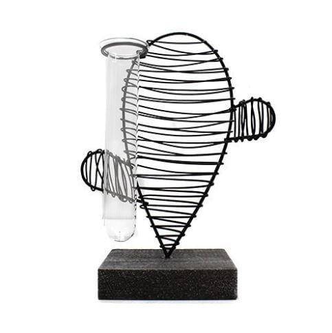 Hydroponic Home Décor - Cactus & Lab Pot - ShopGreenToday