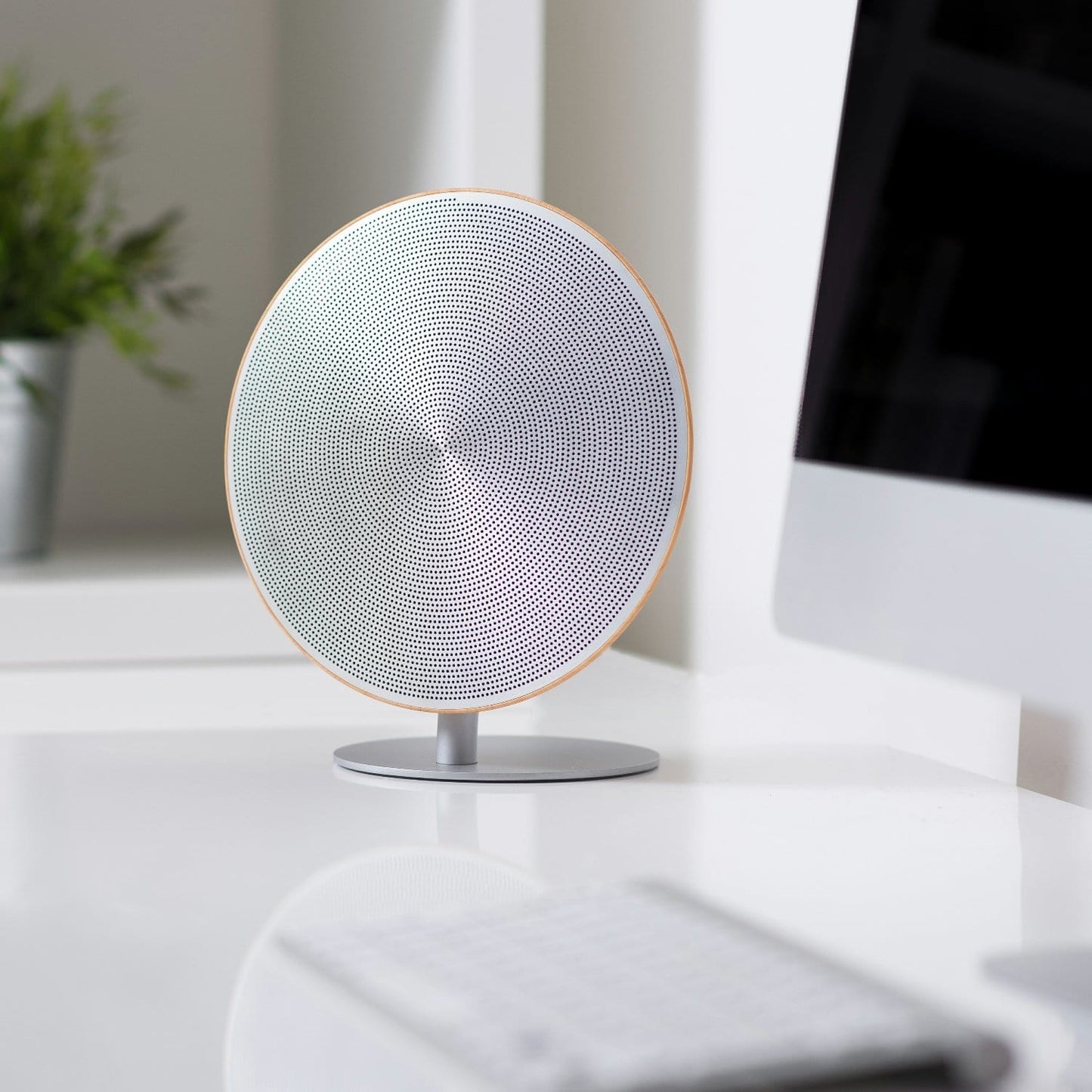 The Large - Halo One Bluetooth Speaker - ShopGreenToday