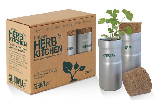 Italian Herb Kitchen Seedball Tin Kit | Set - ShopGreenToday