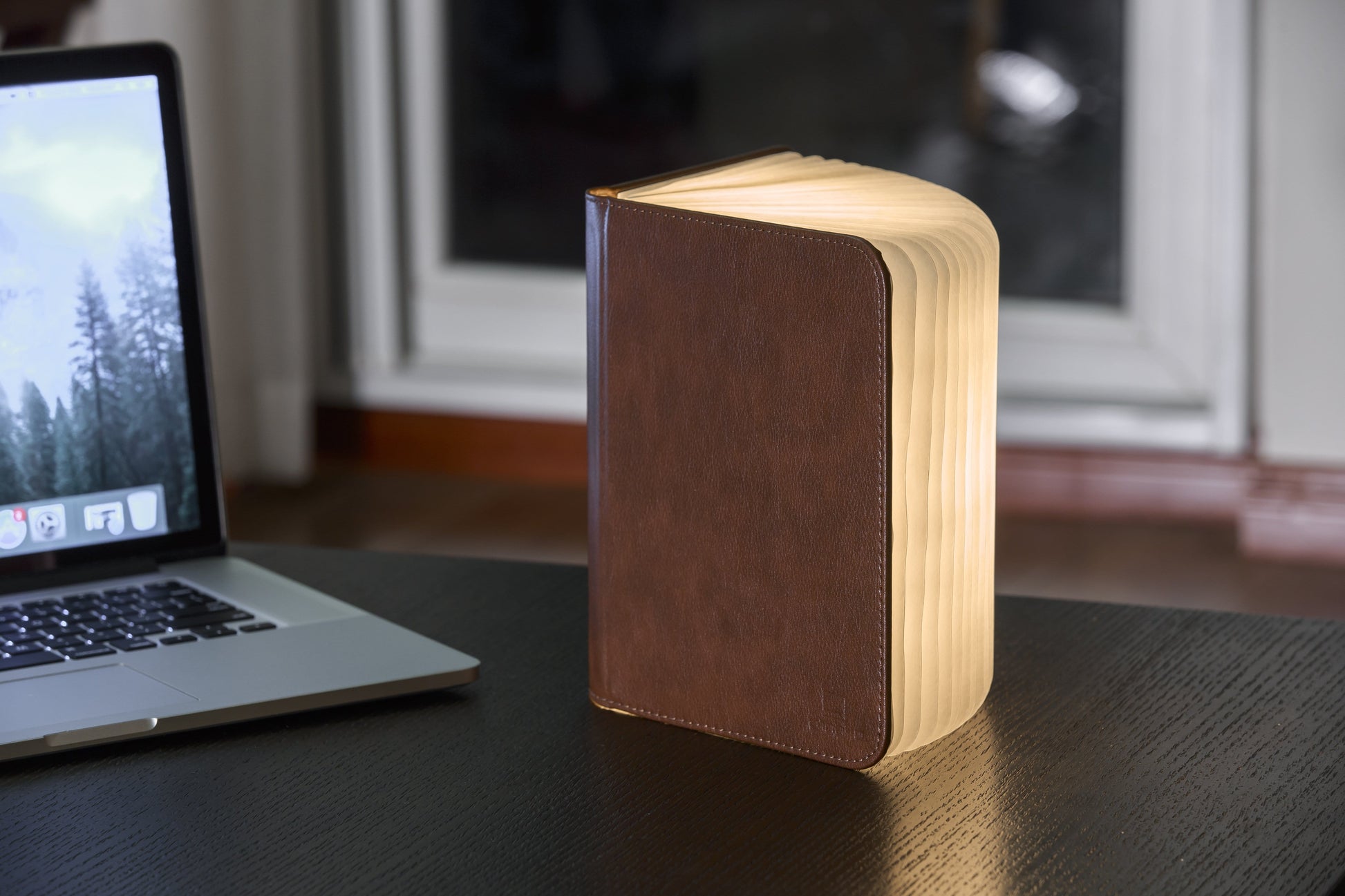 The Gingko Smart Book Light *Red Dot Design Award Winner* - ShopGreenToday