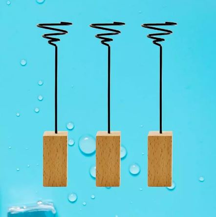 Air Plant Display Stand with Wooden Base - ShopGreenToday