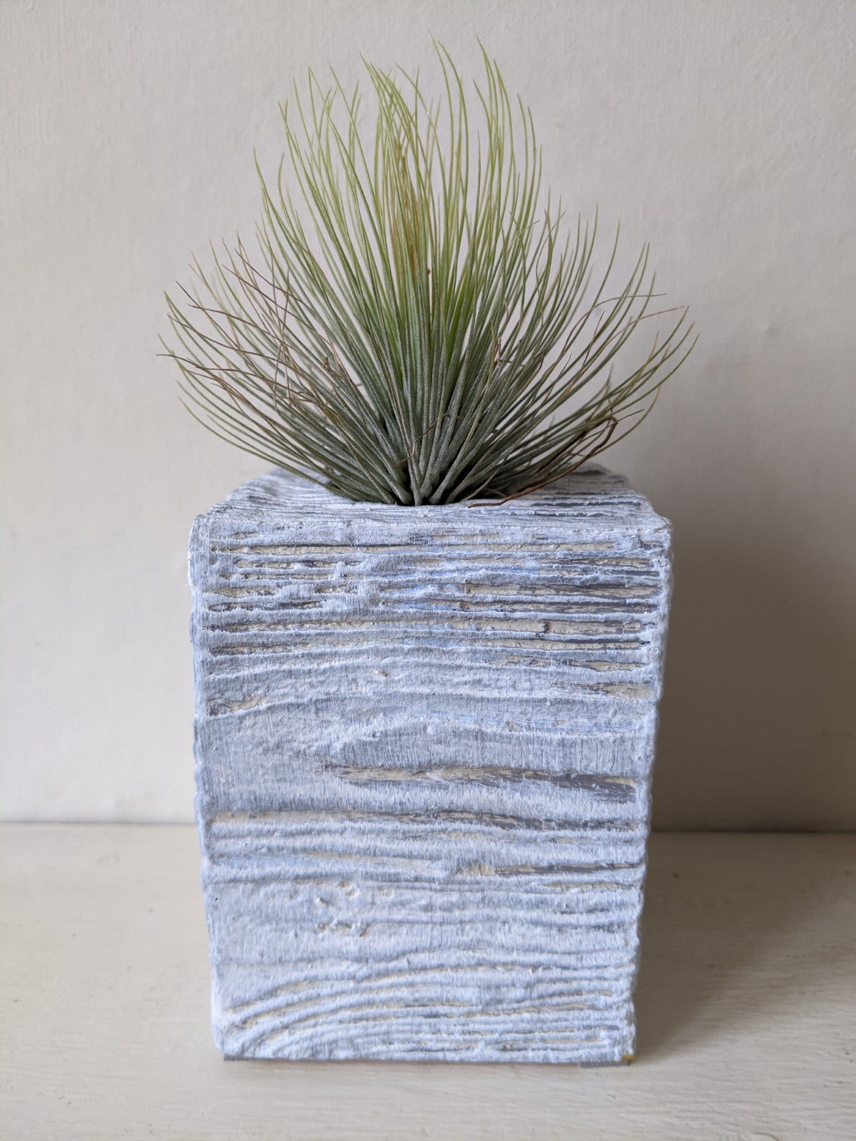 Ceramic Square Tea-Light | Air Plant Holder - Blue Wash - ShopGreenToday