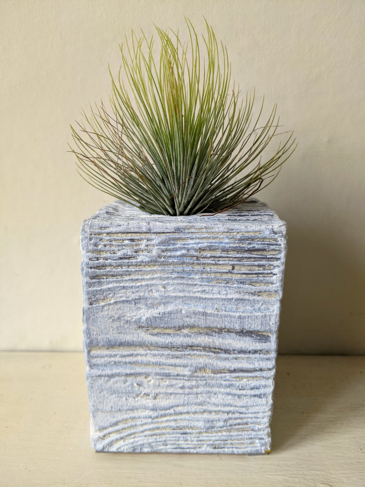 Ceramic Square Tea-Light | Air Plant Holder - Blue Wash - ShopGreenToday