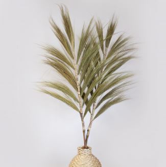 3 x Rayung Grass Natural - 1.6m