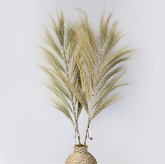 3 x Rayung Grass Blond - 1.6m