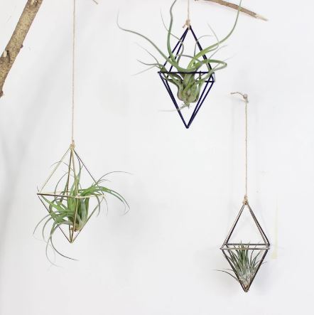 Pastoral Style Geometric Air Plant Holder - ShopGreenToday