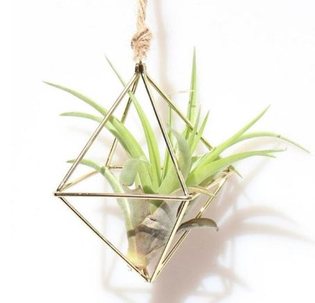 Pastoral Style Geometric Air Plant Holder - ShopGreenToday