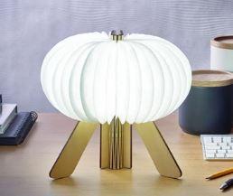 The R Space Lamp - Natural Maple - ShopGreenToday