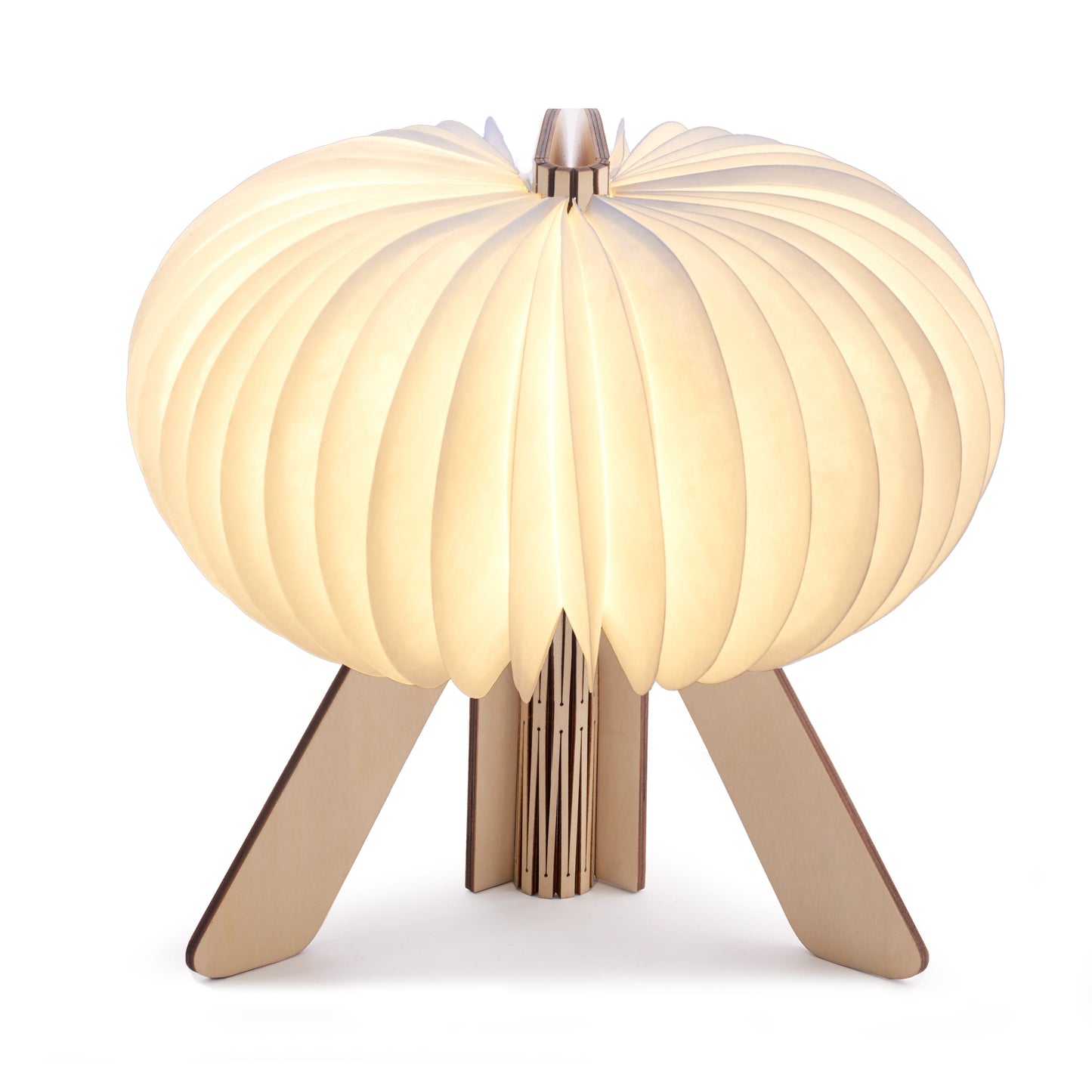 The R Space Lamp - Natural Maple - ShopGreenToday