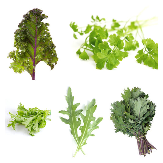 Salad Mix Seedball Tin - ShopGreenToday