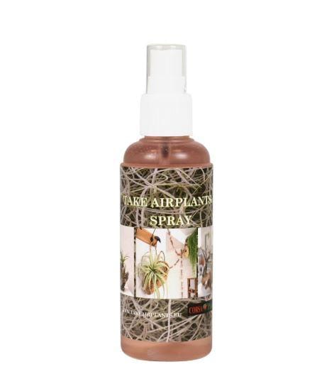 Tillandsia Air Plant Care Spray Small - ShopGreenToday