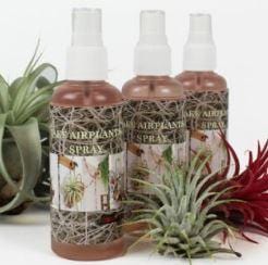 Tillandsia Air Plant Care Spray Small - ShopGreenToday