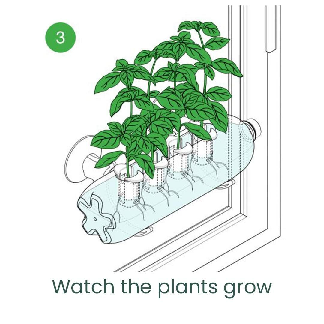 Bottle Farm Indoor Herb Garden