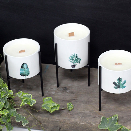Botanical Wooden Wick Soy Candles - ShopGreenToday