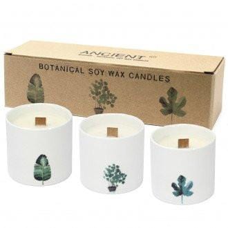 Botanical Wooden Wick Soy Candles - ShopGreenToday
