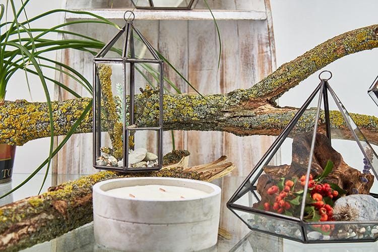 Brass & Glass Terrarium Collection - ShopGreenToday
