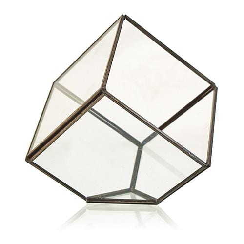 Brass & Glass Terrarium Collection - ShopGreenToday