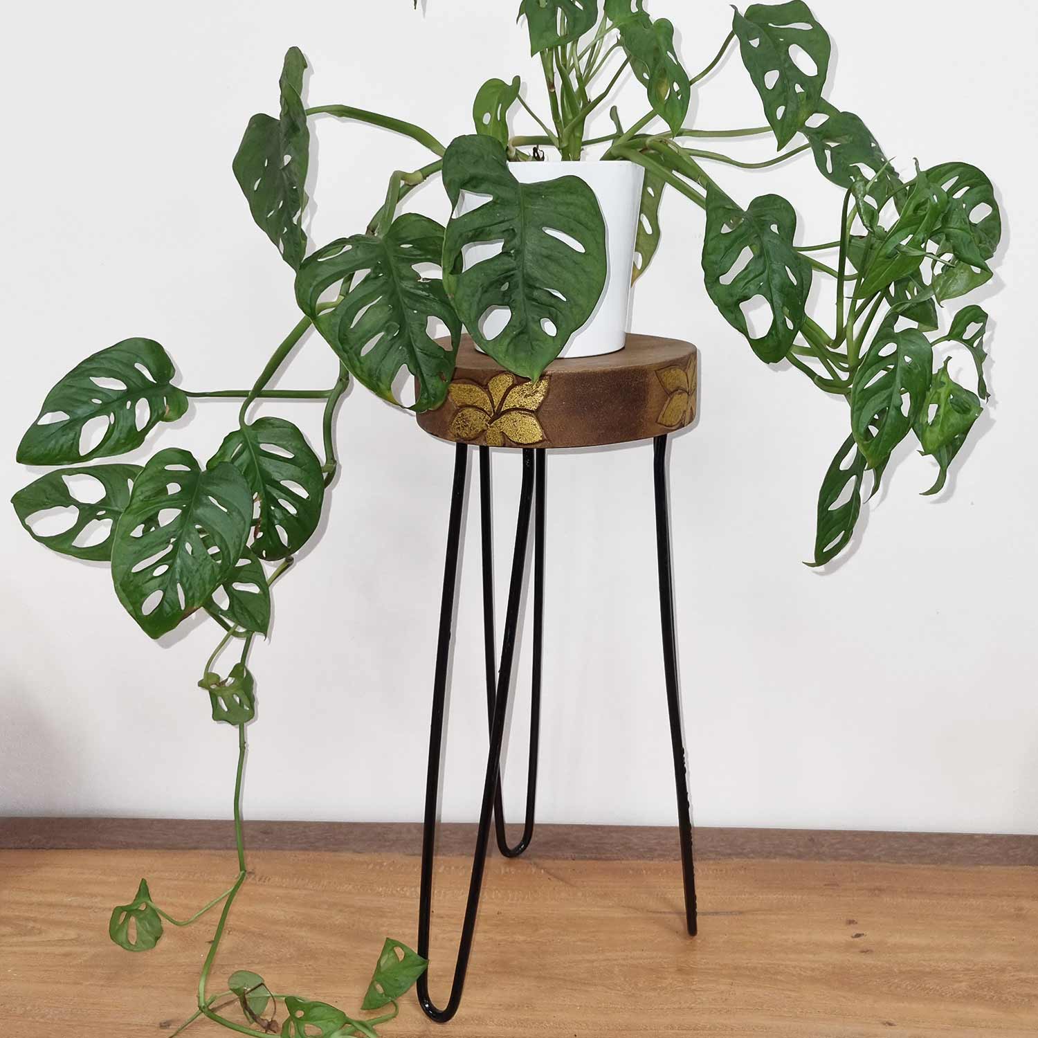 Albasia Wood Plant Stands - ShopGreenToday
