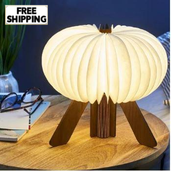 The R Space Lamp - Natural Walnut - ShopGreenToday