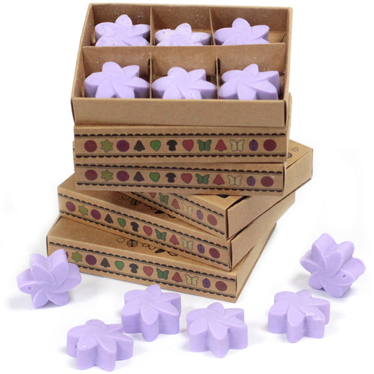 Luxury Soy Wax Melts (Box of 6) - ShopGreenToday