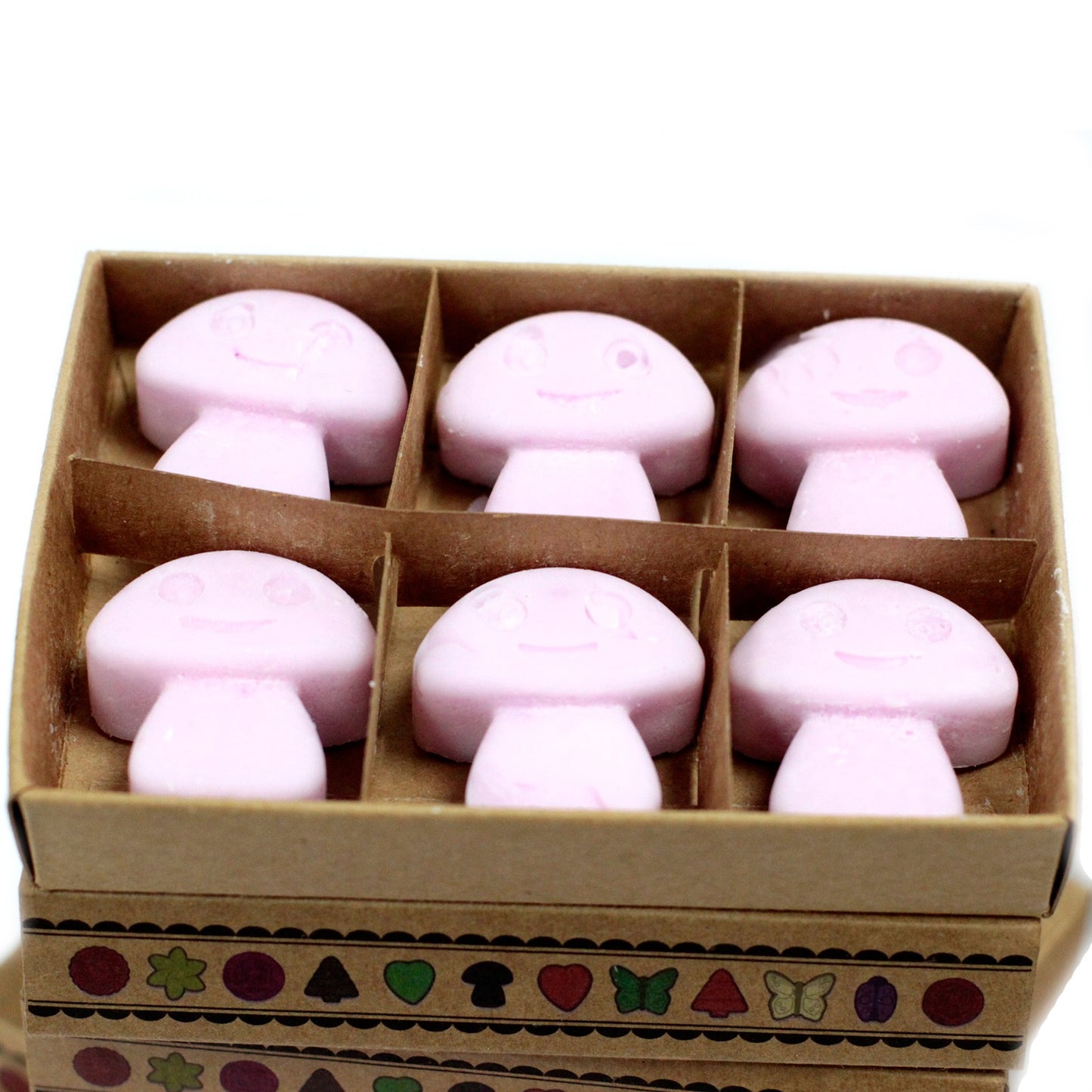 Luxury Soy Wax Melts (Box of 6) - ShopGreenToday