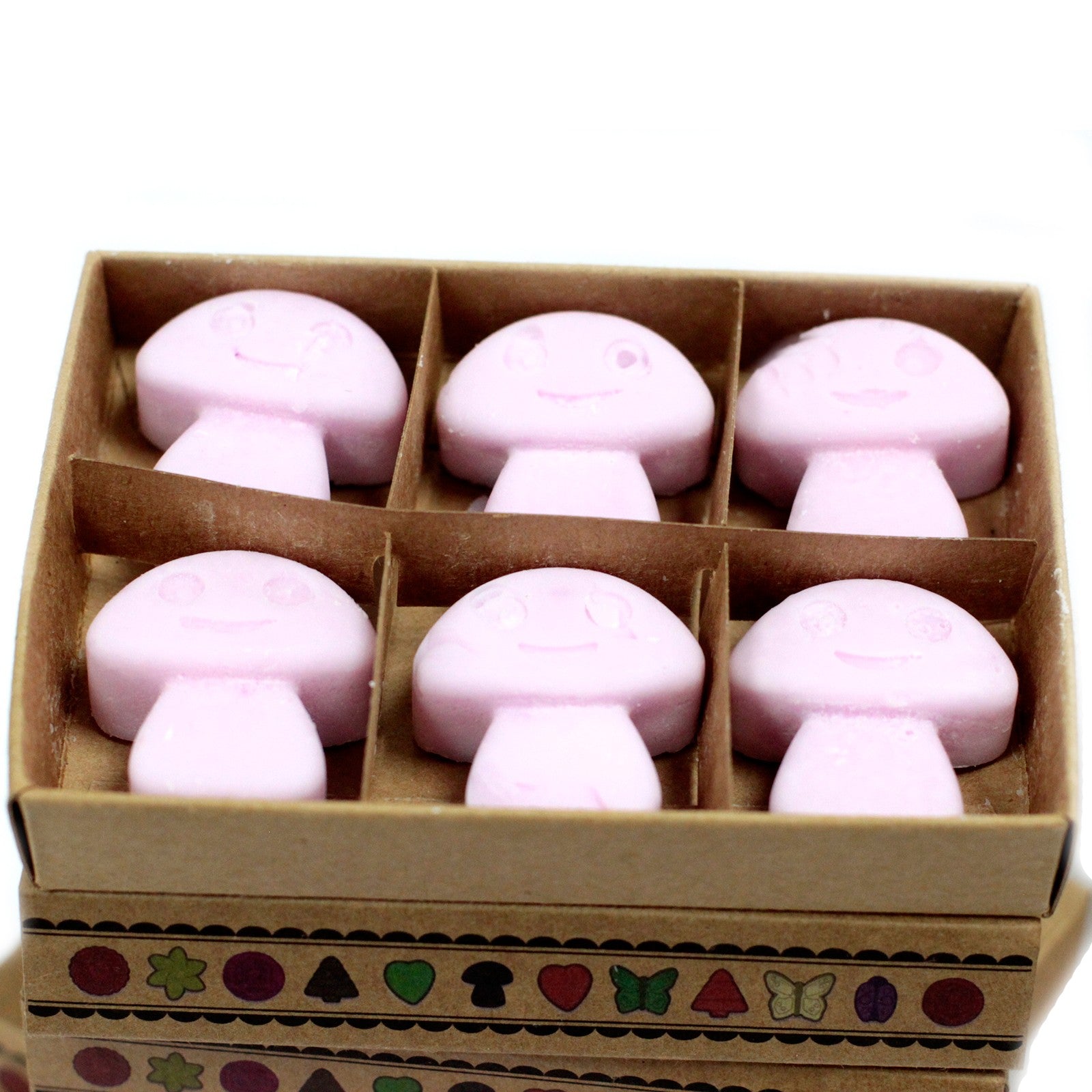 Luxury Soy Wax Melts (Box of 6) - ShopGreenToday