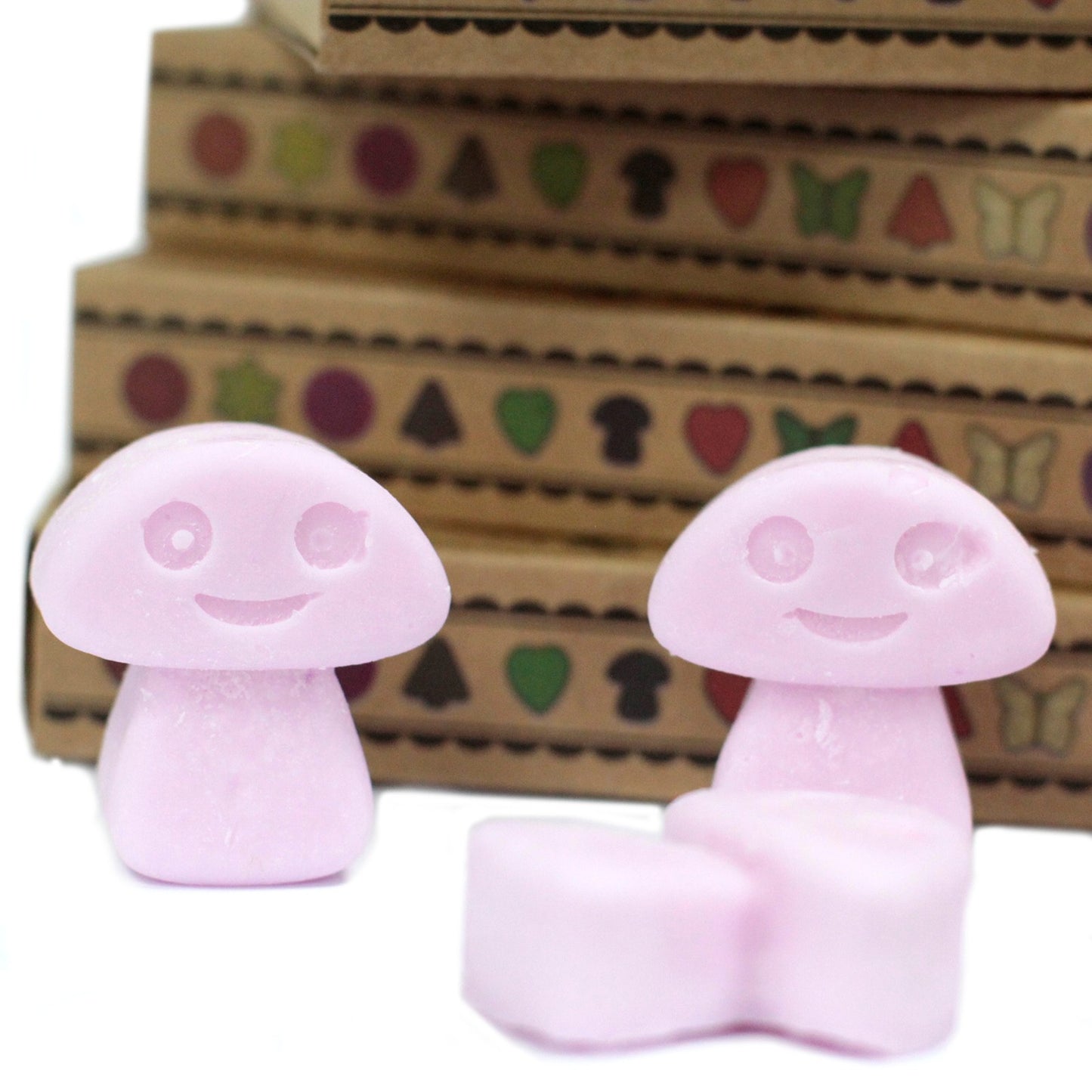 Luxury Soy Wax Melts (Box of 6) - ShopGreenToday