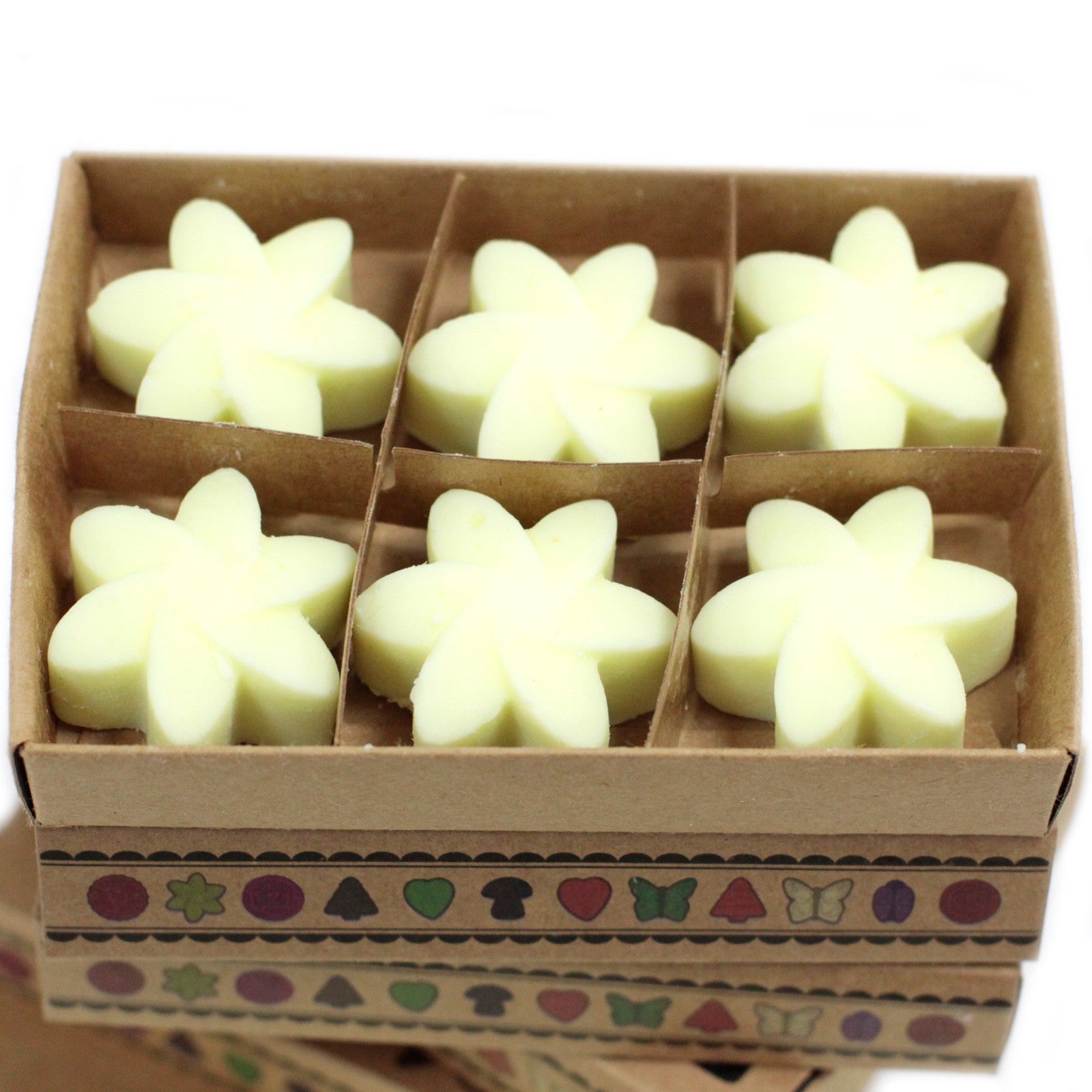 Luxury Soy Wax Melts (Box of 6) - ShopGreenToday